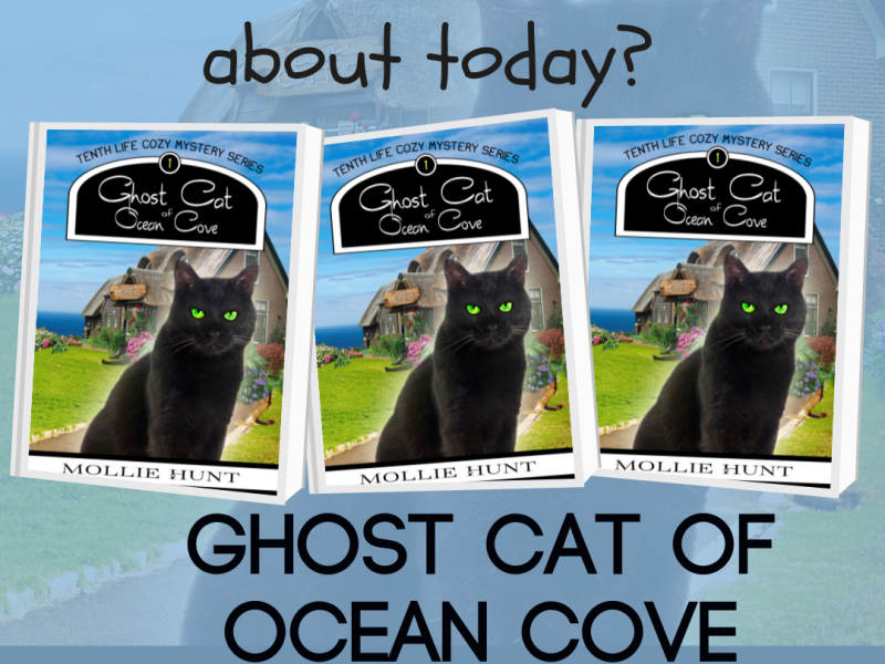 Guest Post:3 THINGS TO KNOW ABOUT GHOST CAT OF OCEAN COVE by Mollie Hunt
